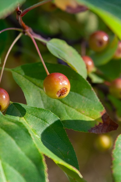 攻击端和防 攻击端和防