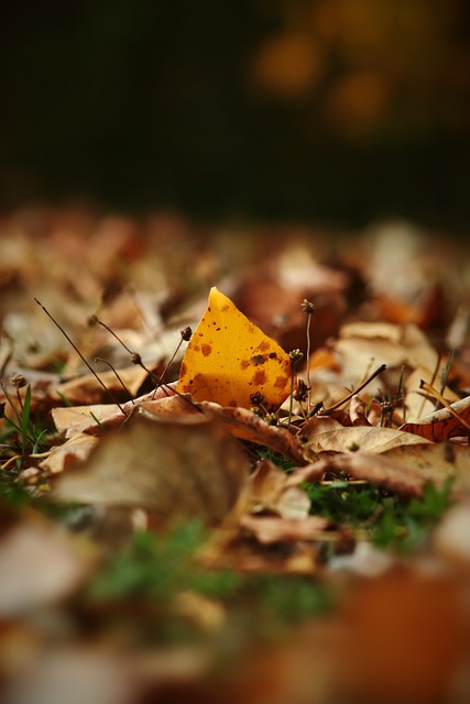 韩国队在亚 韩国队在亚