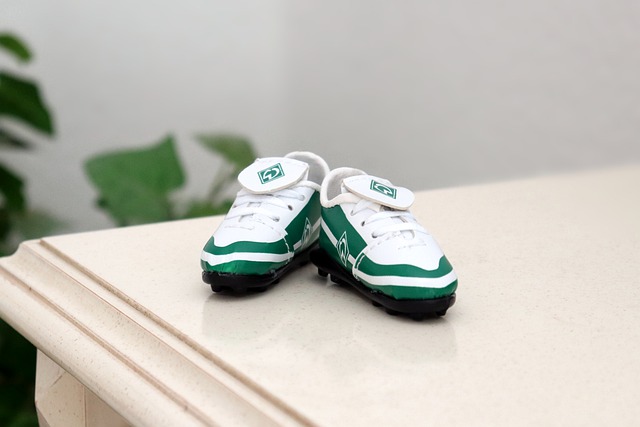 用的结果 用的结果