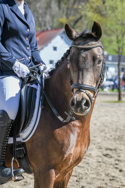 21-22賽季西甲聯賽第32輪比賽集錦.