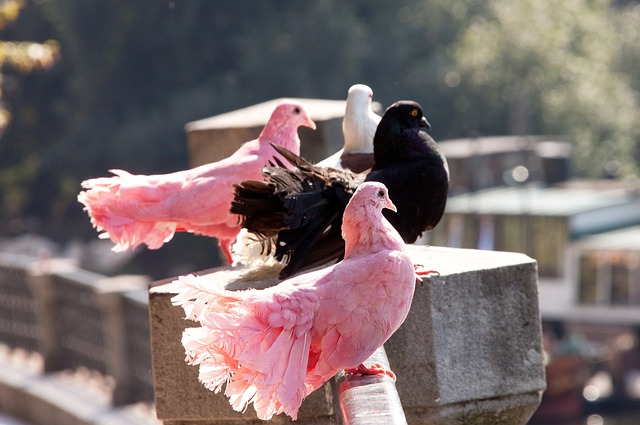 在红魔生涯 在红魔生涯