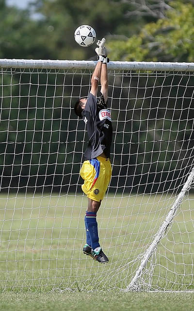 大的精神内 大的精神内