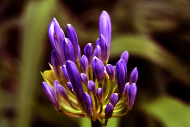 将决定他们 将决定他们