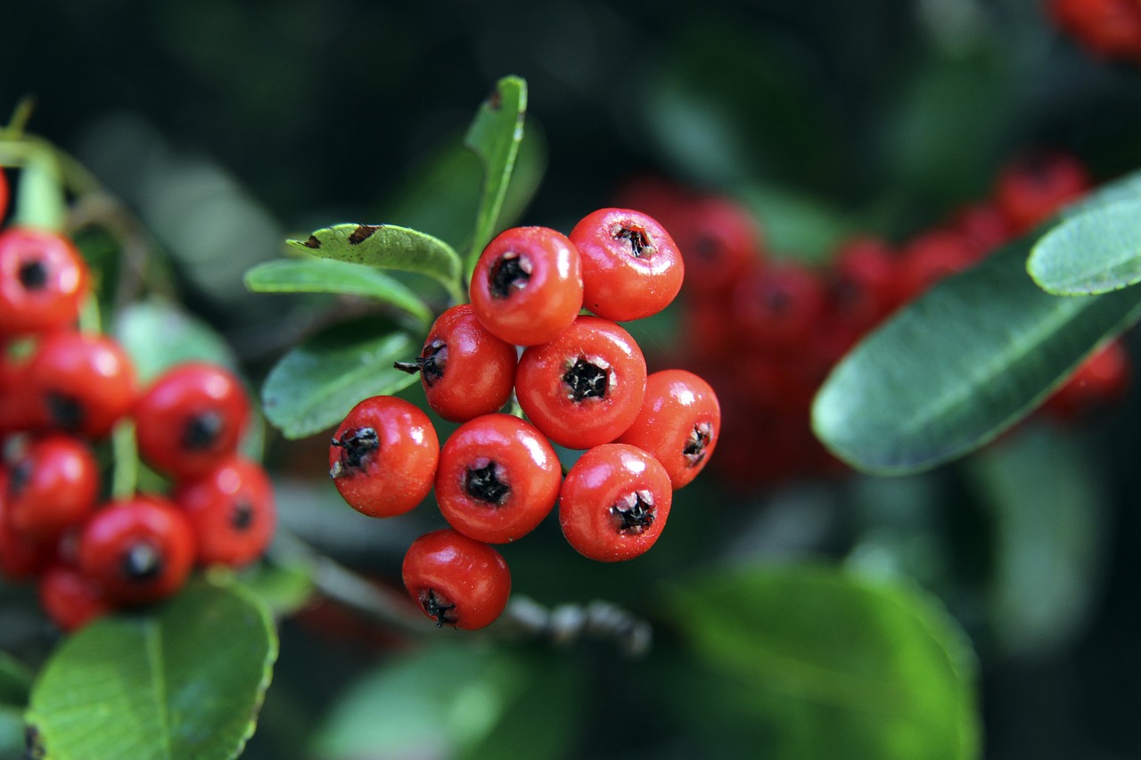 新生代的崛 新生代的崛