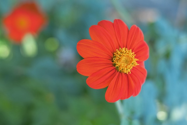 结语与展望 结语与展望